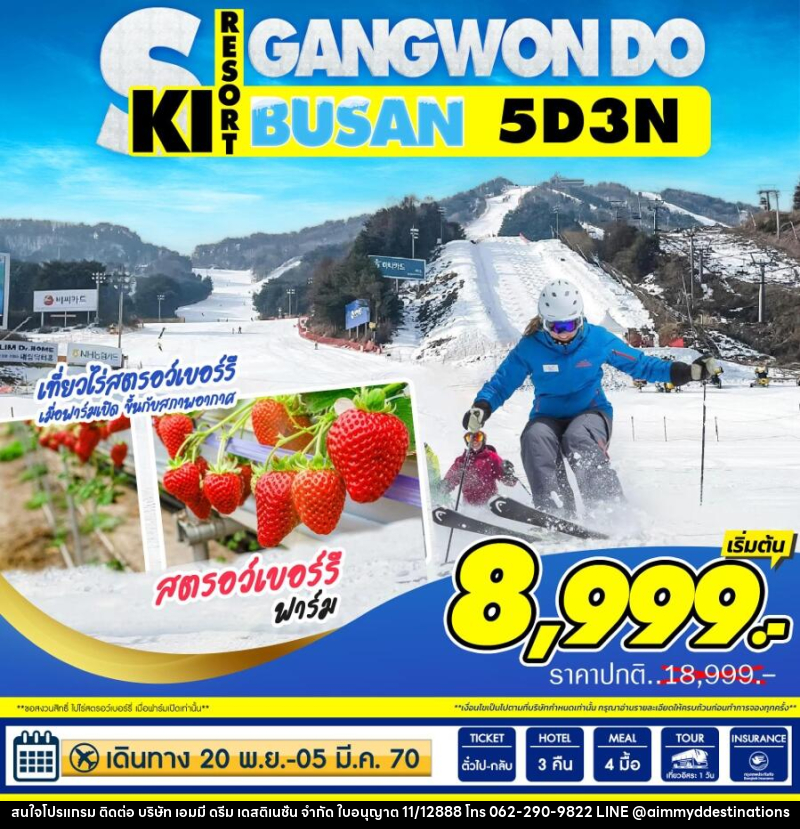 ทัวร์เกาหลี GANGWON DO SKI RESORT BUSAN - บริษัท เอมมี่ ดรีม เดสติเนชั่น จำกัด