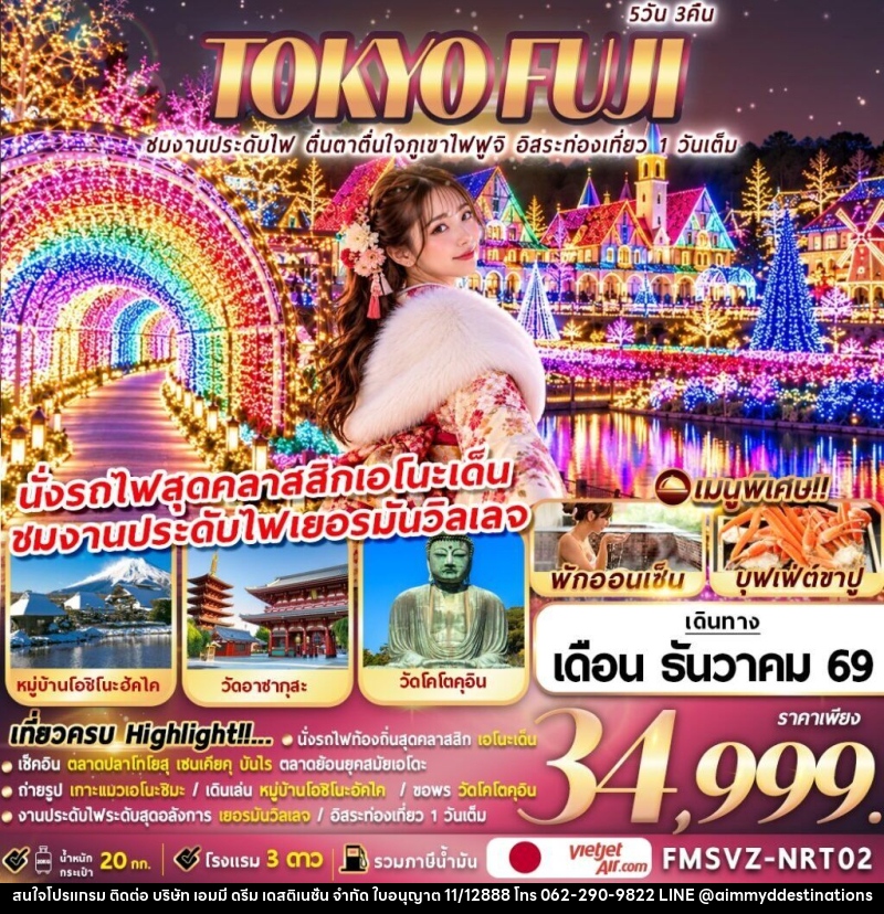 ทัวร์ญี่ปุ่น TOKYO FUJI ชมงานประดับไฟ ตื่นตาตื่นใจภูเขาไฟฟูจิ อิสระท่องเที่ยว 1 วันเต็ม - บริษัท เอมมี่ ดรีม เดสติเนชั่น จำกัด