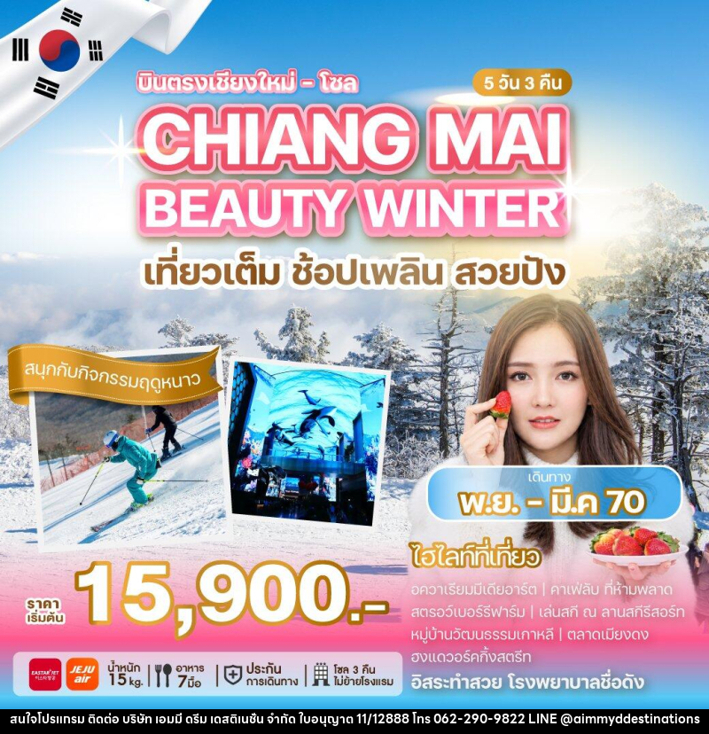 ทัวร์เกาหลี บินตรงเชียงใหม่ - โซล CHIANG MAI BEAUTY WINTER - บริษัท เอมมี่ ดรีม เดสติเนชั่น จำกัด