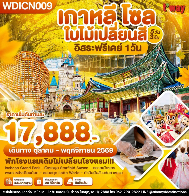 ทัวร์เกาหลี โซล ใบไม้เปลี่ยนสี อิสระฟรีเดย์ 1 วัน - บริษัท เอมมี่ ดรีม เดสติเนชั่น จำกัด