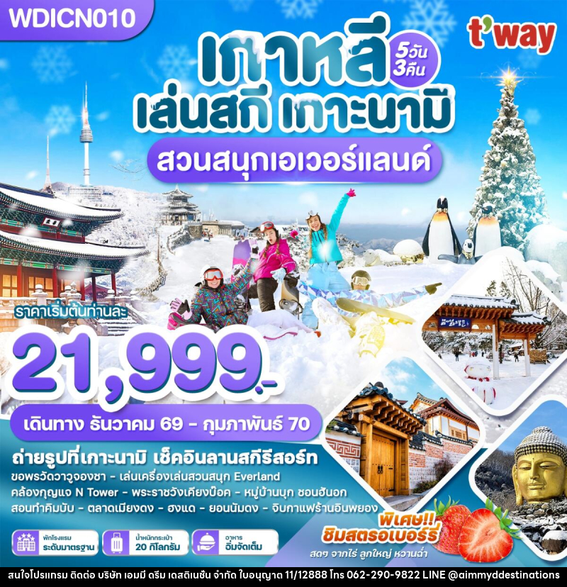 ทัวร์เกาหลี เล่นสกี เกาะนามิ เที่ยวปีใหม่!! สวนสนุกเอเวอร์แลนด์ - บริษัท เอมมี่ ดรีม เดสติเนชั่น จำกัด