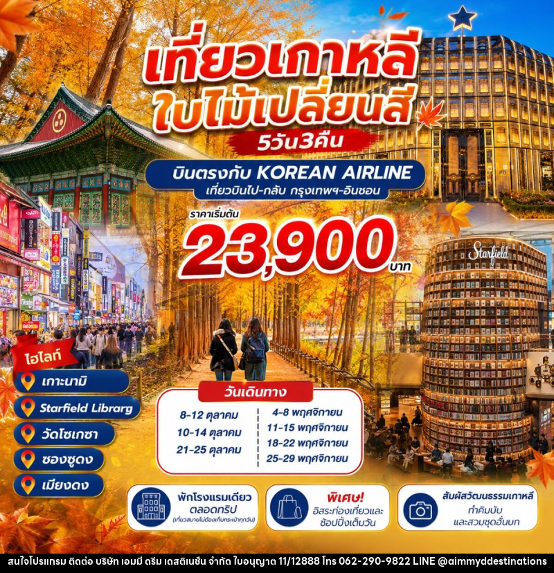 ทัวร์เกาหลี ชมใบไม้เปลี่ยนสี - บริษัท เอมมี่ ดรีม เดสติเนชั่น จำกัด ทัวร์เกาหลี ชมใบไม้เปลี่ยนสี - บริษัท เอมมี่ ดรีม เดสติเนชั่น จำกัด