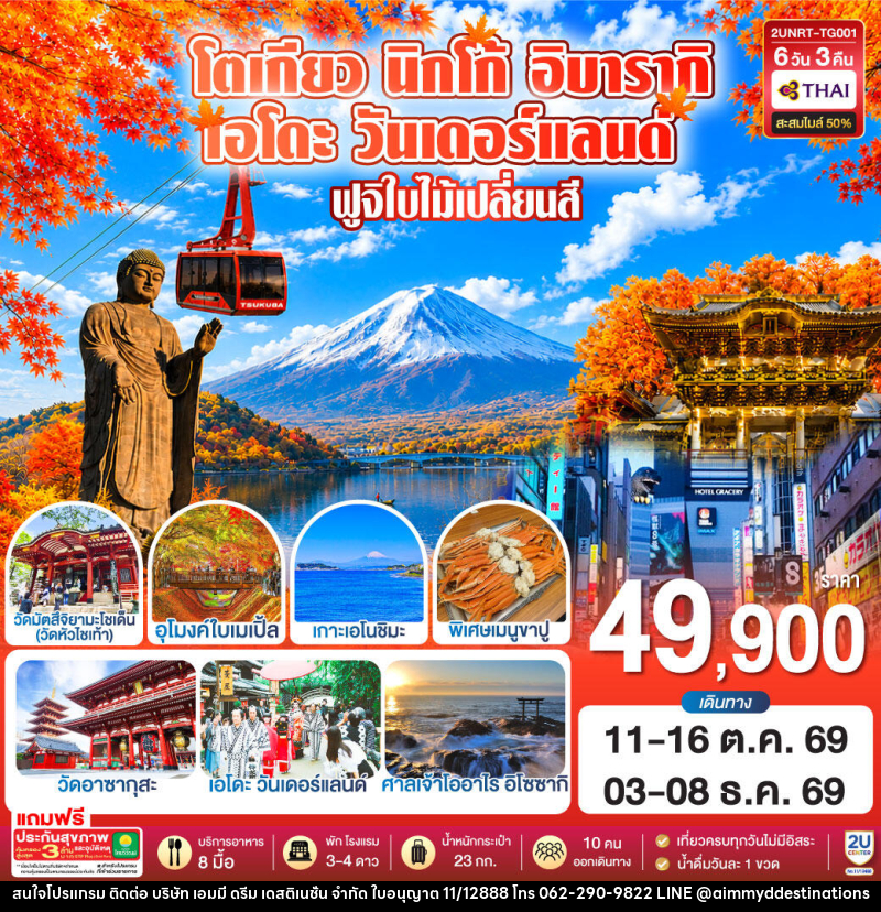 ทัวร์ญี่ปุ่น โตเกียว นิกโก้ เอโดะ วันเดอร์แลนด์  ฟูจิใบไม้เปลี่ยนสี - บริษัท เอมมี่ ดรีม เดสติเนชั่น จำกัด