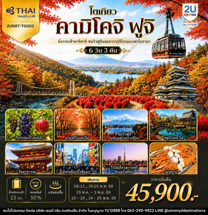ทัวร์ญี่ปุ่น โตเกียว คามิโคจิ ฟูจิ นั่งกระเช้าคาจิคาจิ AUTUMN FULL BLOOM - บริษัท เอมมี่ ดรีม เดสติเนชั่น จำกัด
