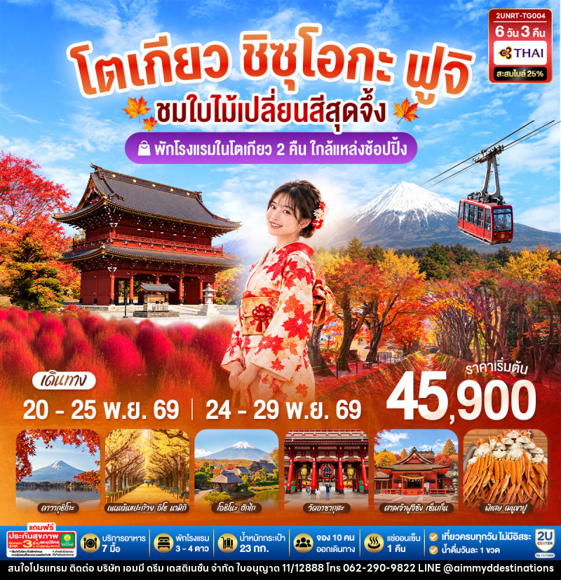 ทัวร์ญี่ปุ่น โตเกียว ชิซุโอกะ ฟูจิ นั่งกระเช้าคาจิคาจิ ชมใบไม้เปลี่ยนสีสุดจึ้ง - บริษัท เอมมี่ ดรีม เดสติเนชั่น จำกัด
