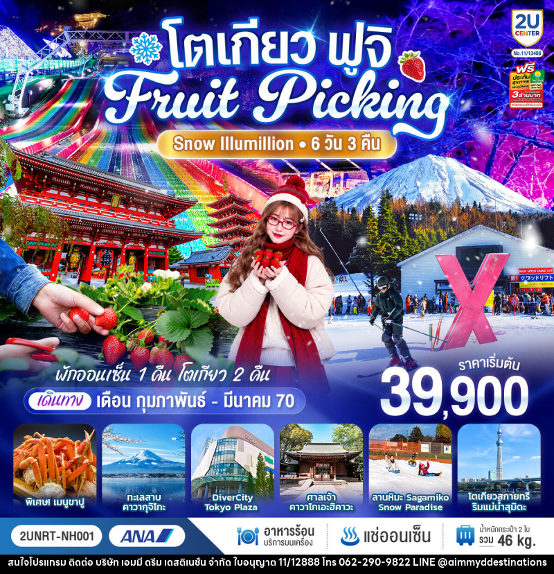 ทัวร์ญี่ปุ่น โตเกียว ฟูจิ FRUIT PICKING SNOW Illumillion - บริษัท เอมมี่ ดรีม เดสติเนชั่น จำกัด