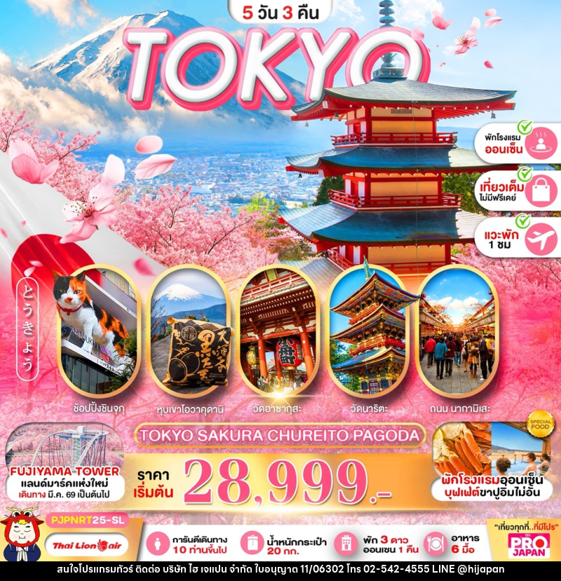 ทัวร์ญี่ปุ่น TOKYO SAKURA CHUREITO PAGODA - บริษัท ไฮ เจแปน จำกัด