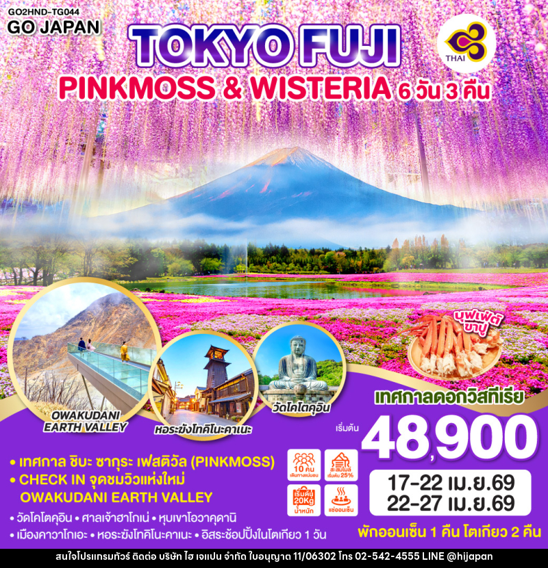 ทัวร์ญี่ปุ่น TOKYO FUJI PINKMOSS & WISTERIA - บริษัท ไฮ เจแปน จำกัด