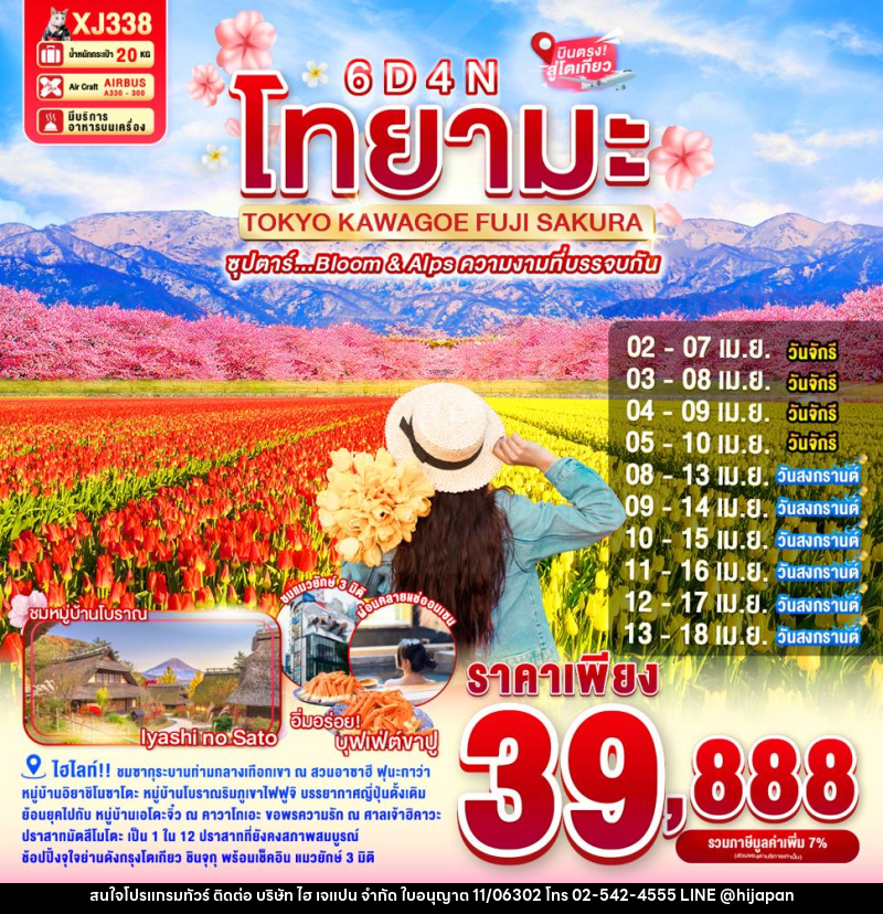 ทัวร์ญี่ปุ่น โทยามะ TOKYO KAWAGOE FUJI SAKURA ซุปตาร์....Bloom & Alps ความงามที่บรรจบกัน - บริษัท ไฮ เจแปน จำกัด