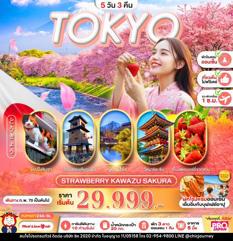 ทัวร์ญี่ปุ่น PRO TOKYO STRAWBERRY KAWAZU SAKURA - บริษัท ชิค 2020 จำกัด