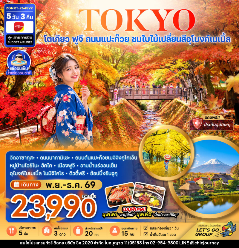 ทัวร์ญี่ปุ่น โตเกียว ฟูจิ ถนนแปะก๊วย ชมใบไม้เปลี่ยนสีอุโมงค์เมเปิ้ล (อิสระท่องเที่ยว 1 วัน) - บริษัท ชิค 2020 จำกัด
