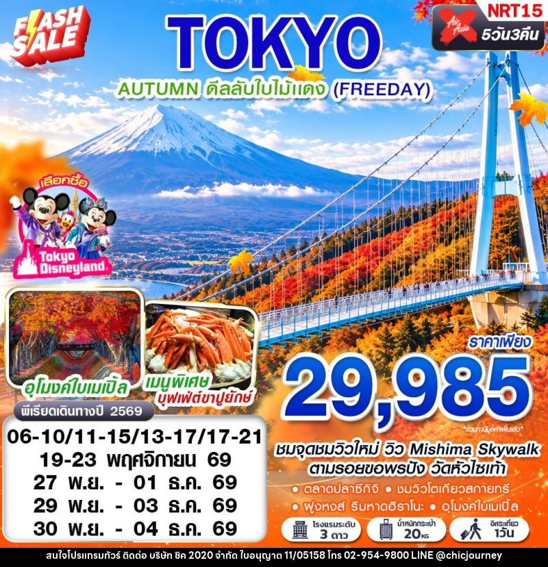 ทัวร์ญี่ปุ่น TOKYO AUTUMN ดีลลับใบไม้แดง (FREEDAY) - บริษัท ชิค 2020 จำกัด