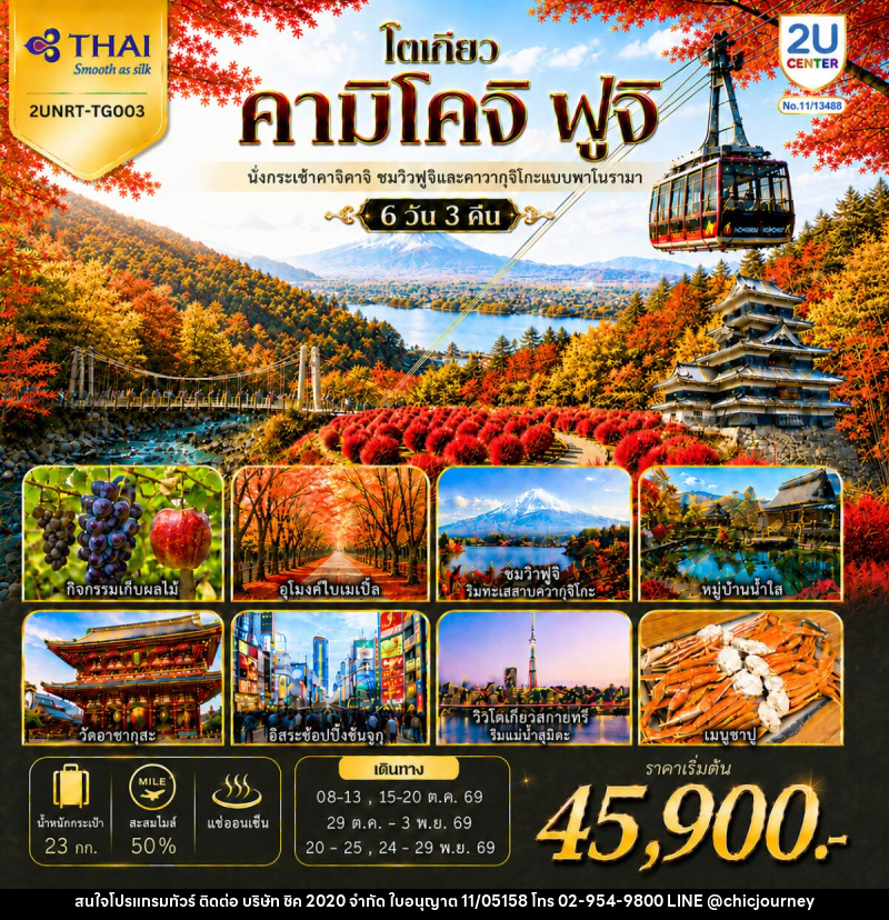 ทัวร์ญี่ปุ่น โตเกียว คามิโคจิ ฟูจิ นั่งกระเช้าคาจิคาจิ AUTUMN FULL BLOOM - บริษัท ชิค 2020 จำกัด