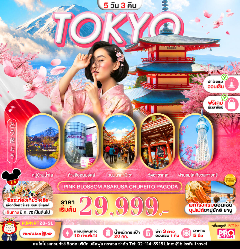ทัวร์ญี่ปุ่น PRO TOKYO PINK BLOSSOM ASAKUSA CHUREITO PAGODA FREE DAY - บริษัท บลิสฟูล ทราเวล จำกัด
