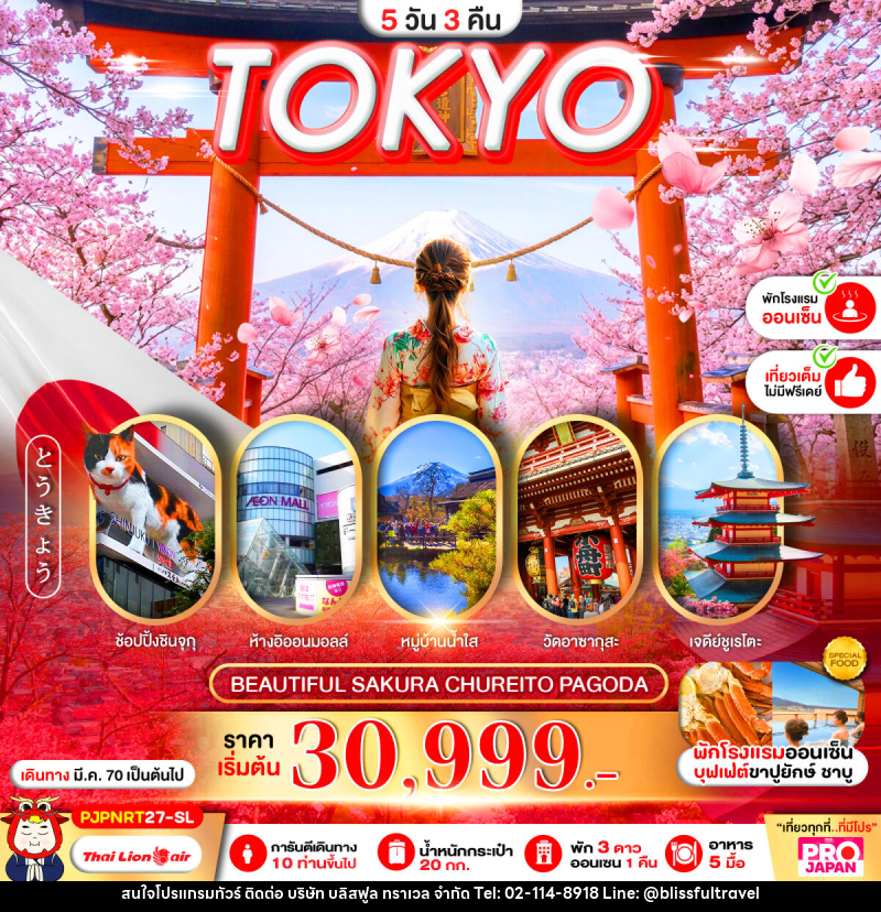 ทัวร์ญี่ปุ่น PRO TOKYO BEAUTIFUL SAKURA CHUREITO PAGODA FULL DAY - บริษัท บลิสฟูล ทราเวล จำกัด