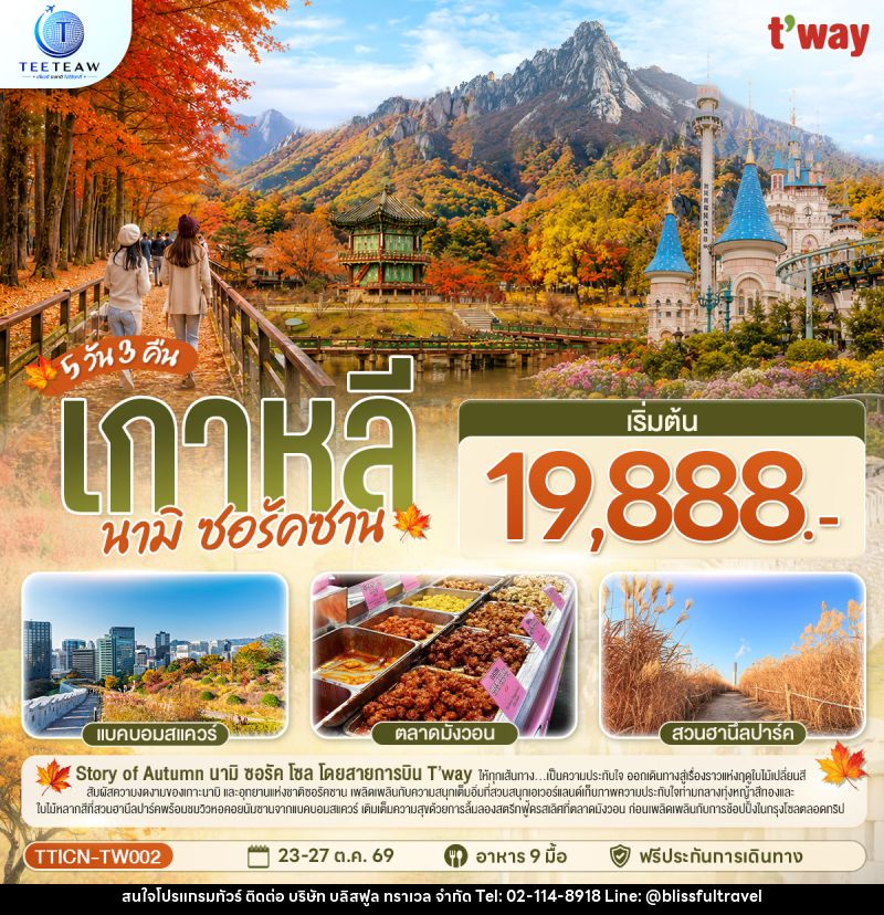 ทัวร์เกาหลี นามิ  ซอรัคซาน - บริษัท บลิสฟูล ทราเวล จำกัด