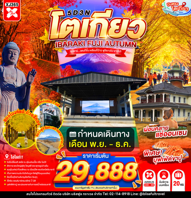 ทัวร์ญี่ปุ่น TOKYO IBARAKI FUJI AUTUMN - บริษัท บลิสฟูล ทราเวล จำกัด