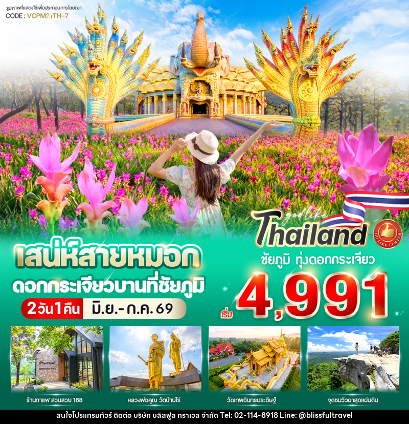 ทัวร์ชัยภูมิ เสน่ห์สายหมอก  ดอกกระเจียวบาน ที่ ชัยภูมิ - บริษัท บลิสฟูล ทราเวล จำกัด