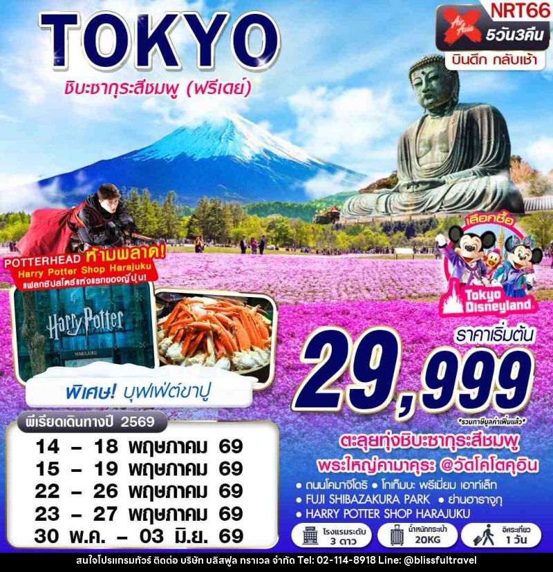 ทัวร์ญี่ปุ่น TOKYO ชิบะซากุระสีชมพู (ฟรีเดย์) - บริษัท บลิสฟูล ทราเวล จำกัด