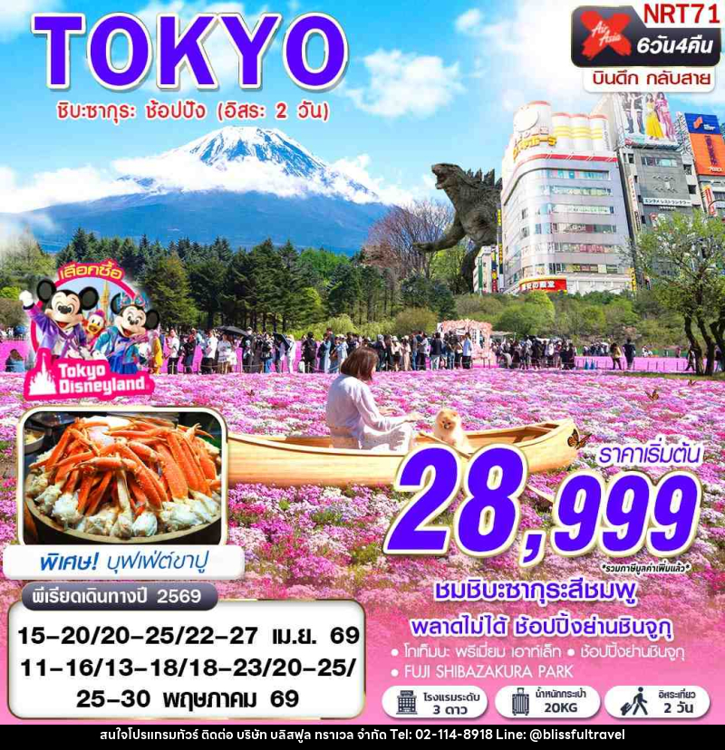 ทัวร์ญี่ปุ่น TOKYO TULIP ชิบะซากุระ ช้อปปัง (อิสระ 2 วัน) - บริษัท บลิสฟูล ทราเวล จำกัด