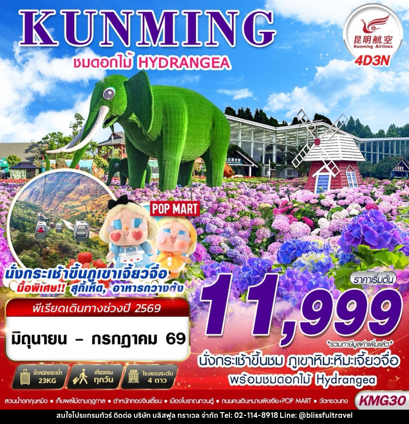 ทัวร์จีน KUNMING ชมดอกไม้ HYDRANGEA - บริษัท บลิสฟูล ทราเวล จำกัด