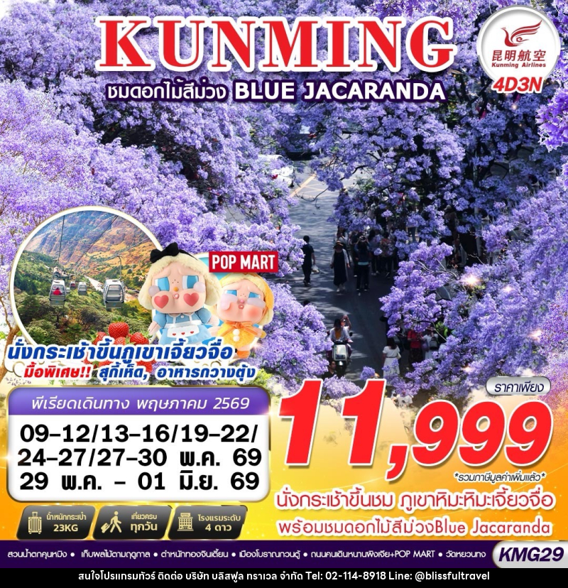 ทัวร์จีน KUNMING ชมดอกไม้สีม่วง BLUE JACARANDA - บริษัท บลิสฟูล ทราเวล จำกัด