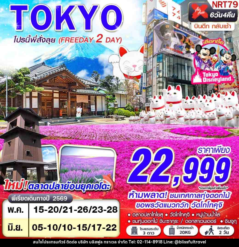 ทัวร์ญี่ปุ่น TOKYO โปรนี้ พี่สั่งลุย (FREEDAY 2 วัน) - บริษัท บลิสฟูล ทราเวล จำกัด