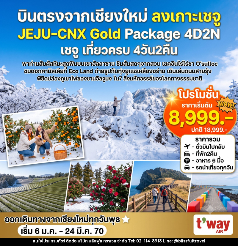 ทัวร์เกาหลี Jeju Gold Package Winter - บริษัท บลิสฟูล ทราเวล จำกัด