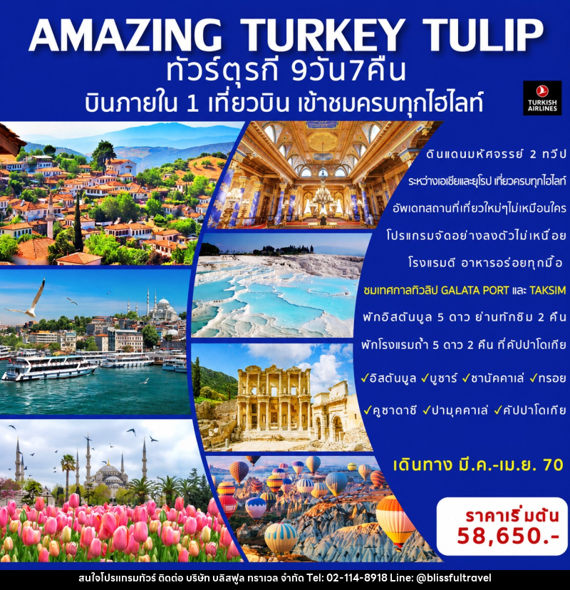 ทัวร์ตุรกี AMAZING TURKEY TULIP ทัวร์ตุรกีทิวลิป - บริษัท บลิสฟูล ทราเวล จำกัด