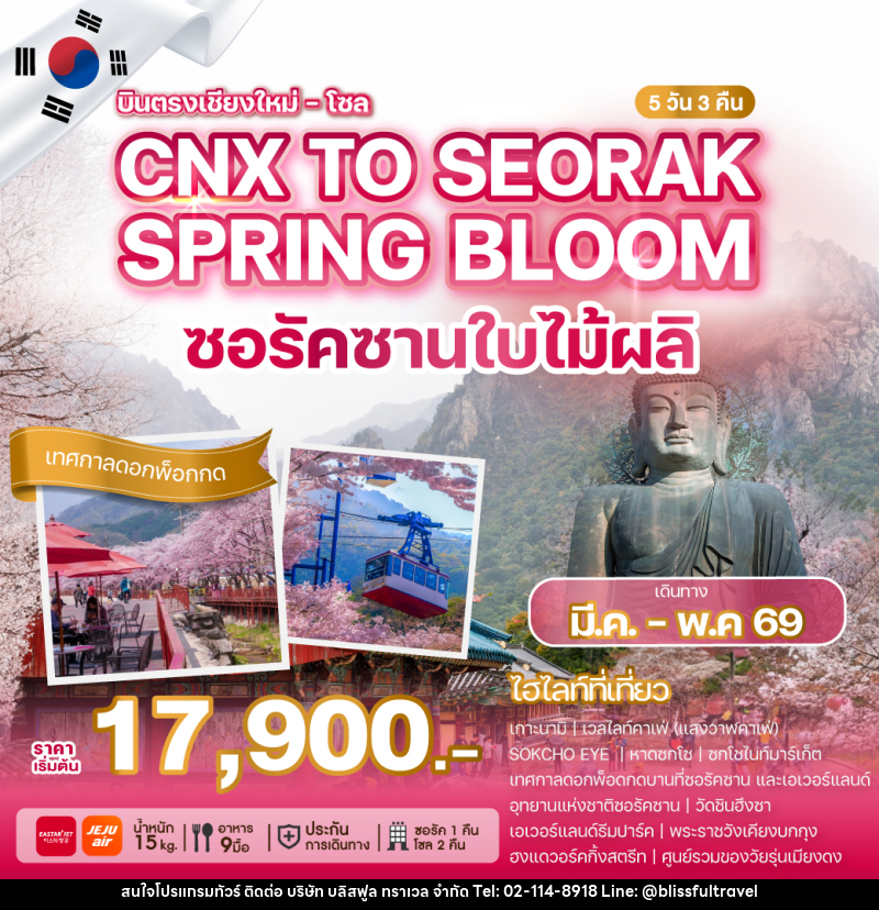 ทัวร์เกาหลี บินตรงเชียงใหม่ - โซล CNX TO SEORAK SPRING BLOOM ซอรัคซานใบไม้ผลิ - บริษัท บลิสฟูล ทราเวล จำกัด
