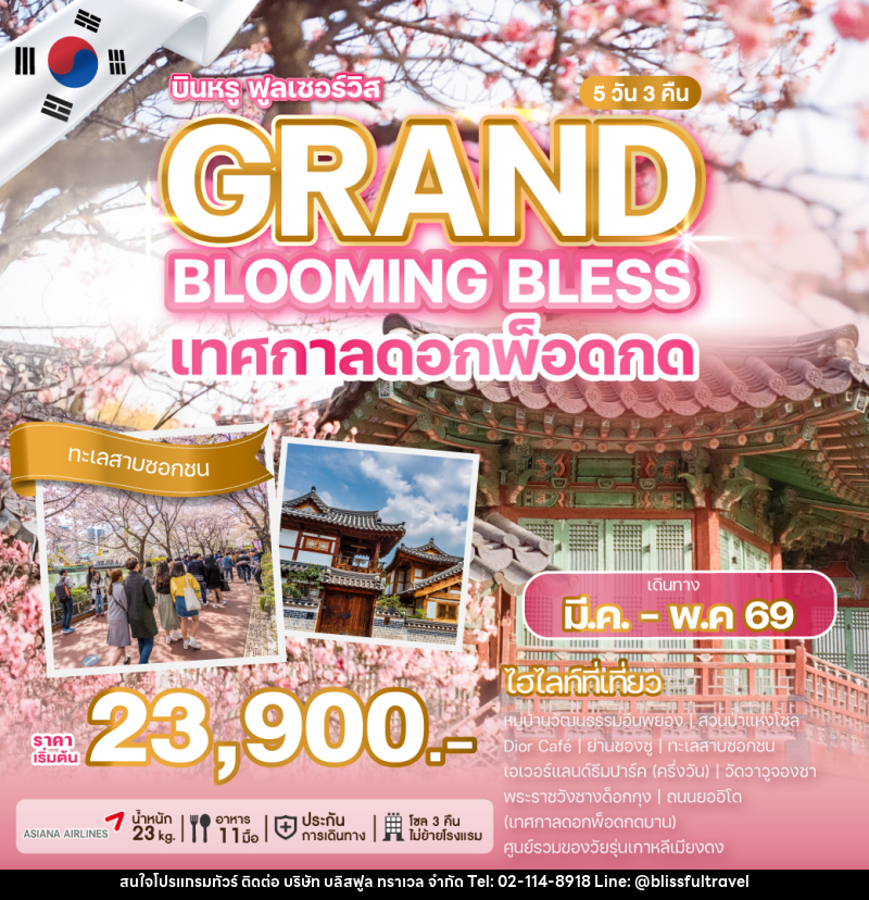 ทัวร์เกาหลี บินหรู ฟูลเซอร์วิส GRAND BLOOMING BLESS เทศกาลดอกพ็อดกด - บริษัท บลิสฟูล ทราเวล จำกัด