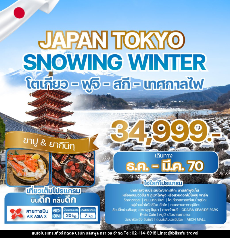 ทัวร์ญี่ปุ่น JAPAN TOKYO SNOWING WINTER - บริษัท บลิสฟูล ทราเวล จำกัด