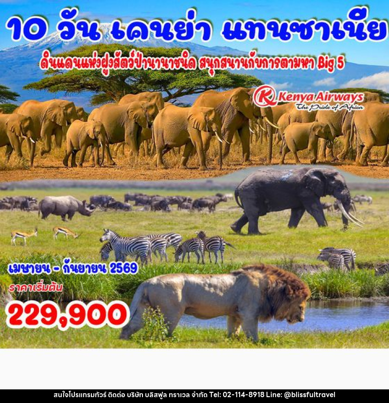 ทัวร์เคนย่า แทนซาเนีย - บริษัท บลิสฟูล ทราเวล จำกัด