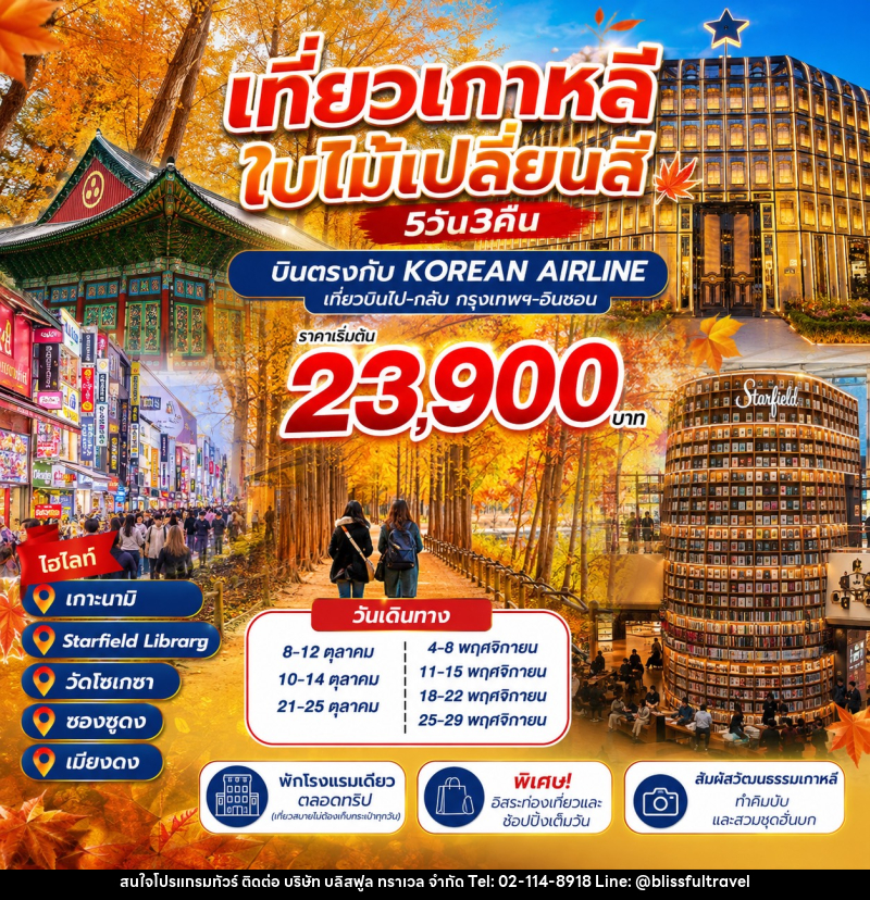 ทัวร์เกาหลี ชมใบไม้เปลี่ยนสี - บริษัท บลิสฟูล ทราเวล จำกัด