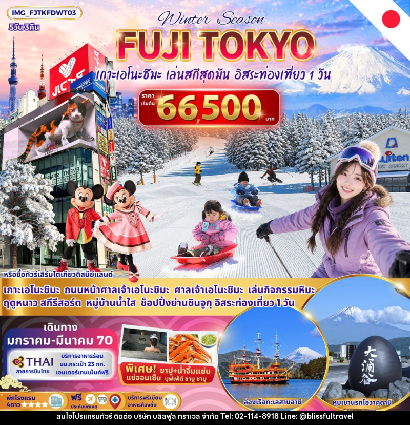 ทัวร์ญี่ปุ่น FUJI TOKYO WINTER - บริษัท บลิสฟูล ทราเวล จำกัด