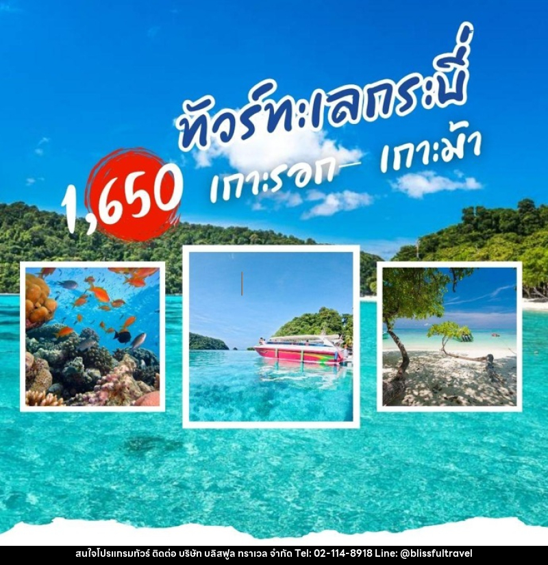 แพ็คเกจทัวร์กระบี่ เกาะรอก เกาะม้า - บริษัท บลิสฟูล ทราเวล จำกัด