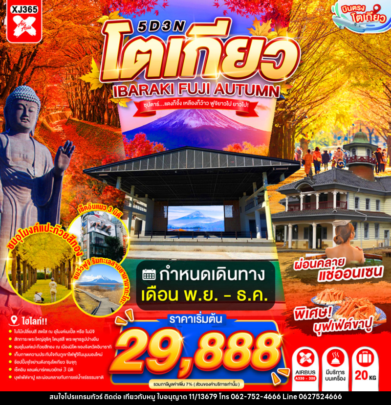 ทัวร์ญี่ปุ่น TOKYO IBARAKI FUJI AUTUMN - บริษัท ไปเที่ยวกับหมู จำกัด ทัวร์ญี่ปุ่น TOKYO IBARAKI FUJI AUTUMN - บริษัท ไปเที่ยวกับหมู จำกัด