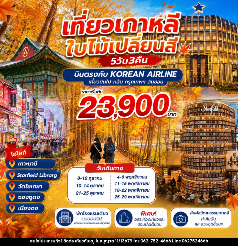 ทัวร์เกาหลี ชมใบไม้เปลี่ยนสี - บริษัท ไปเที่ยวกับหมู จำกัด ทัวร์เกาหลี ชมใบไม้เปลี่ยนสี - บริษัท ไปเที่ยวกับหมู จำกัด