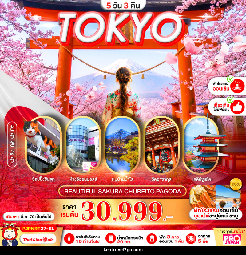 ทัวร์ญี่ปุ่น PRO TOKYO BEAUTIFUL SAKURA CHUREITO PAGODA FULL DAY - บริษัท เคน ทราเวลทูโก จำกัด