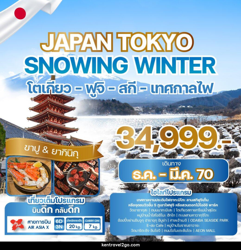 ทัวร์ญี่ปุ่น JAPAN TOKYO SNOWING WINTER - บริษัท เคน ทราเวลทูโก จำกัด