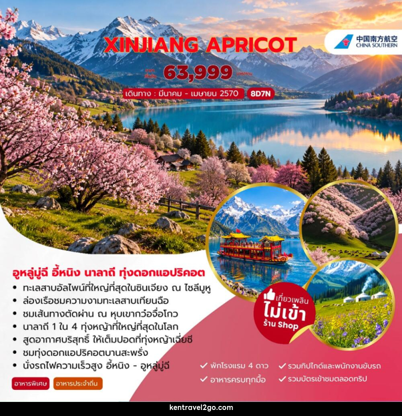 ทัวร์จีน XINJIANG APRICOT อูหลู่มู่ฉี อี้หนิง นาลาถี ทุ่งดอกแอปริคอต - บริษัท เคน ทราเวลทูโก จำกัด
