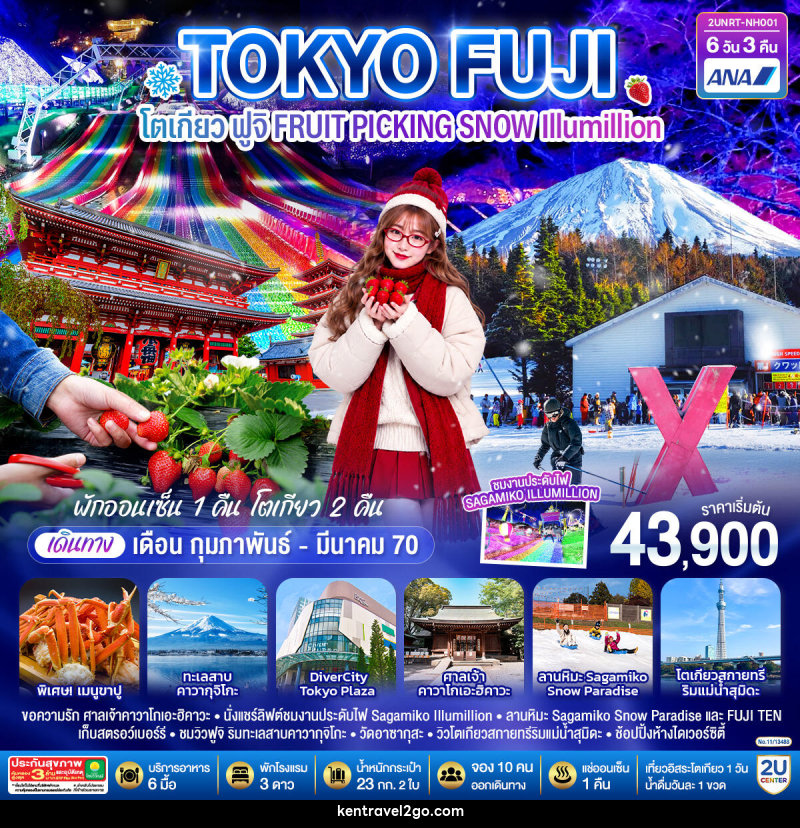 ทัวร์ญี่ปุ่น โตเกียว ฟูจิ FRUIT PICKING SNOW Illumillion - บริษัท เคน ทราเวลทูโก จำกัด