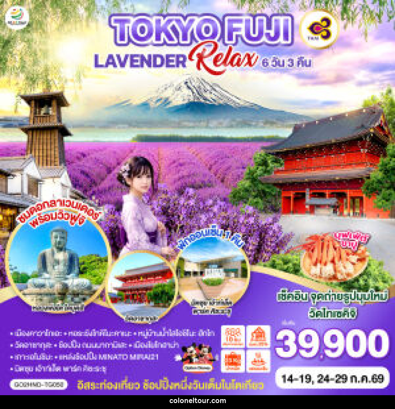 ทัวร์ญี่ปุ่น TOKYO FUJI LAVENDER RELAX - บริษัท โคโลเนียล แทรเวล แอนด์ เซอร์วิส กรุ๊ป จำกัด