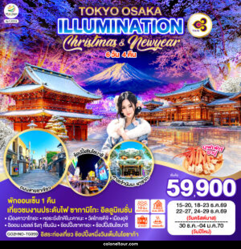 ทัวร์ญี่ปุ่น TOKYO OSAKA ILLUMINATION CHRISTMAS & NEW YEAR - บริษัท โคโลเนียล แทรเวล แอนด์ เซอร์วิส กรุ๊ป จำกัด