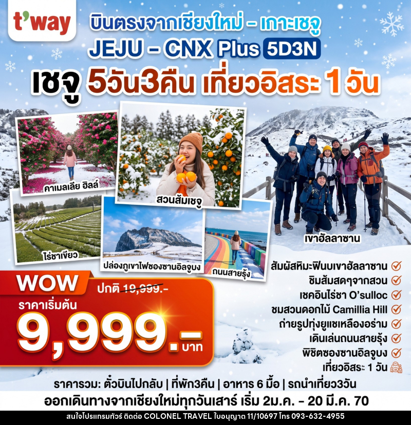 ทัวร์เกาหลี JEJU - CNX Plus - บริษัท โคโลเนียล แทรเวล แอนด์ เซอร์วิส กรุ๊ป จำกัด