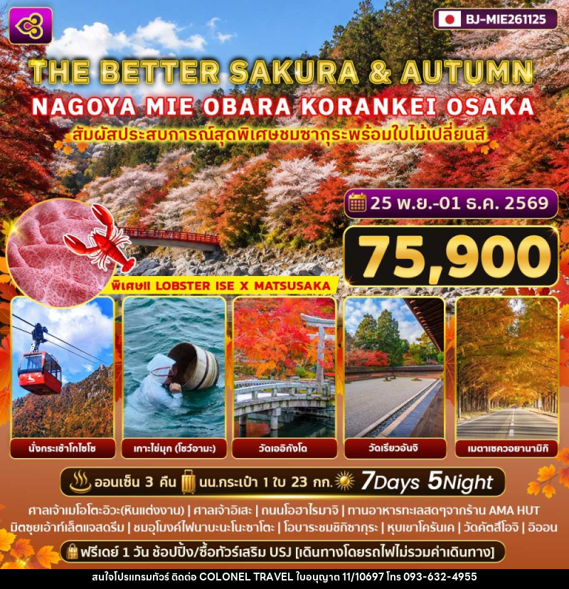 ทัวร์ญี่ปุ่น THE BETTER SAKURA & AUTUMN NAGOYA - MIE - OBARA - KORANKEI - OSAKA - บริษัท โคโลเนียล แทรเวล แอนด์ เซอร์วิส กรุ๊ป จำกัด