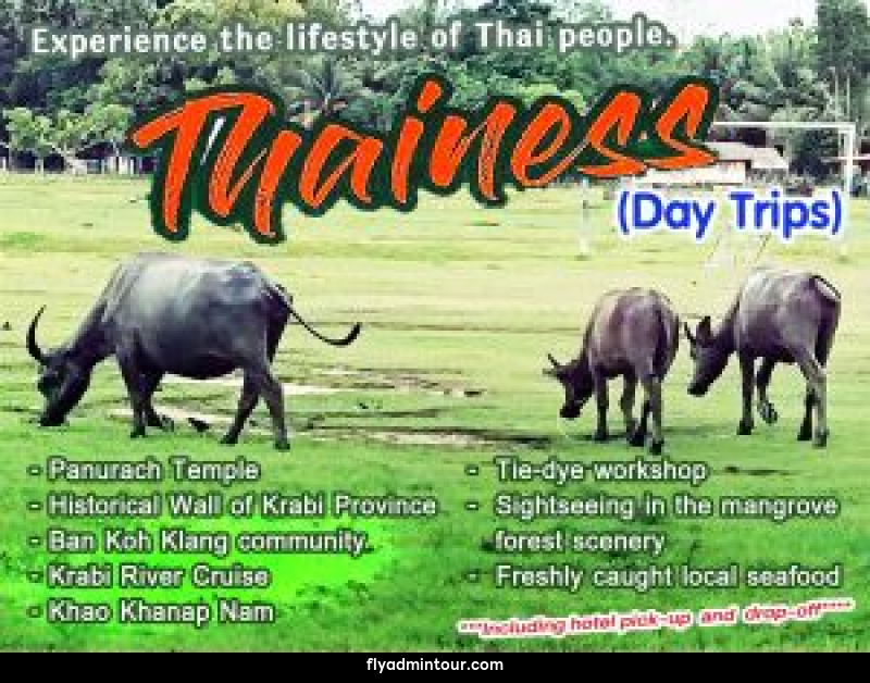 แพ็คเกจทัวร์กระบี่ Thainess Day Trips - บริษัท ฟลาย ทูเกทเทอร์ จำกัด แพ็คเกจทัวร์กระบี่ Thainess Day Trips - บริษัท ฟลาย ทูเกทเทอร์ จำกัด