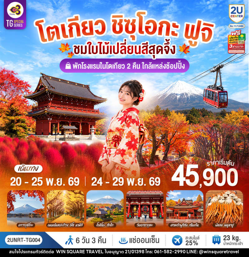 ทัวร์ญี่ปุ่น โตเกียว ชิซุโอกะ ฟูจิ นั่งกระเช้าคาจิคาจิ ชมใบไม้เปลี่ยนสีสุดจึ้ง - บริษัท วิน สแควร์ เทรดดิ้ง แอนด์ ทัวร์ริสซึ่ม จำกัด