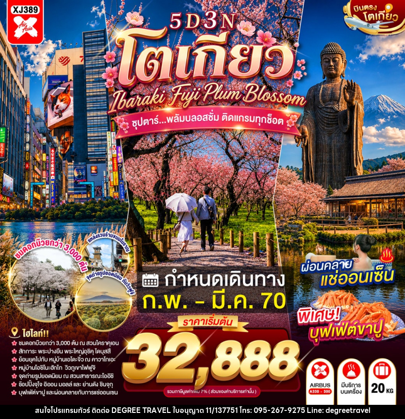 ทัวร์ญี่ปุ่น TOKYO IBARAKI FUJI PLUM BLOSSOM - บริษัท ดีกรี ทราเวล จำกัด