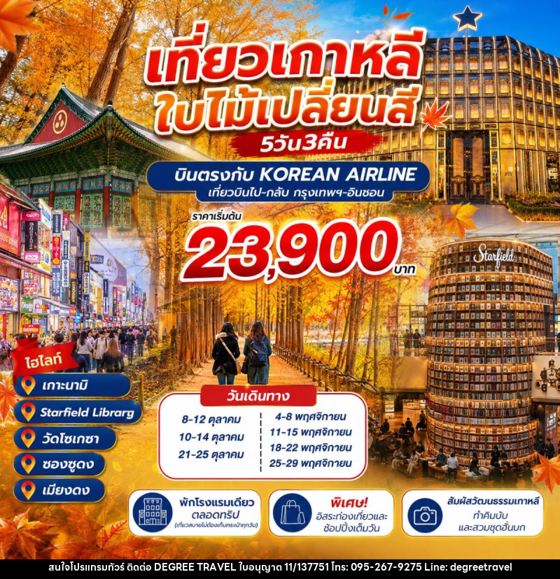 ทัวร์เกาหลี ชมใบไม้เปลี่ยนสี - บริษัท ดีกรี ทราเวล จำกัด ทัวร์เกาหลี ชมใบไม้เปลี่ยนสี - บริษัท ดีกรี ทราเวล จำกัด
